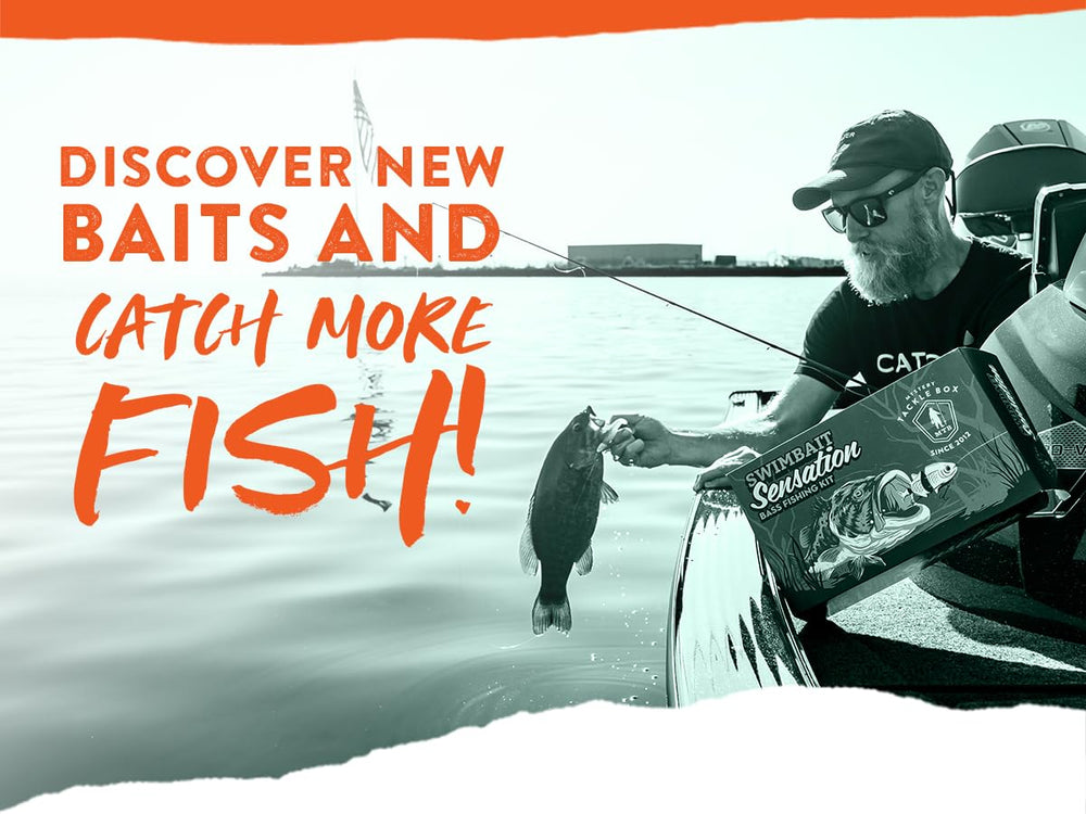 Catch Co Mystery Tackle Box swimbaits gift-ready pack appeals to beginners and seasoned anglers.
