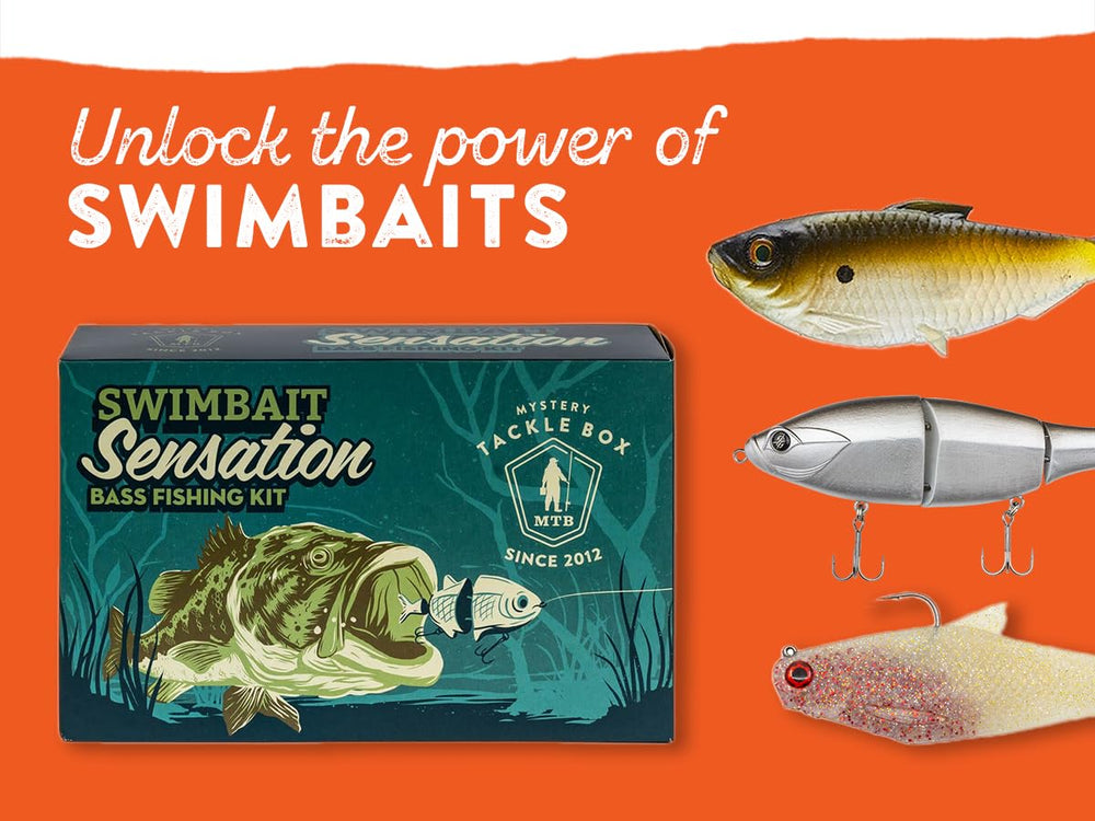 Catch Co Mystery Tackle Box swimbaits packaging open reveals ready-to-try lures for freshwater angling.