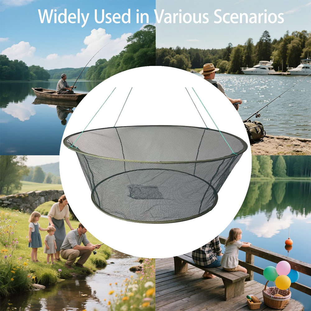 Minnow, crayfish, crab and turtle in trap