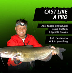 Catfish Sumo Heavyweight Champions reel side-view highlights power handle control for big catfish.