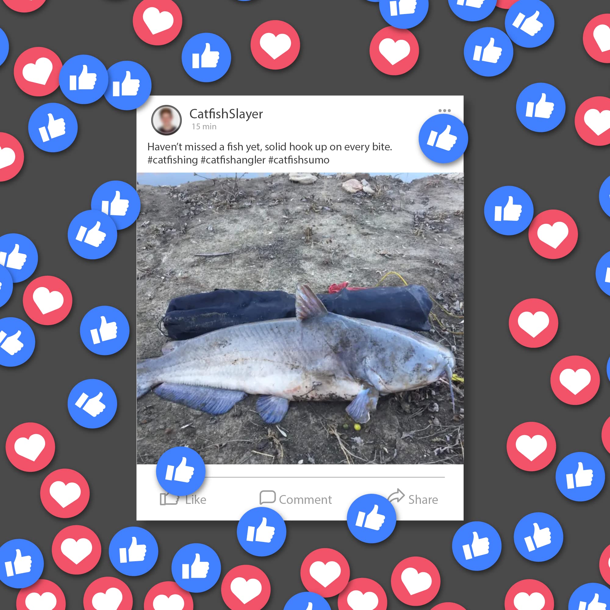 Catfish Sumo ideal for big catfish and lake days.