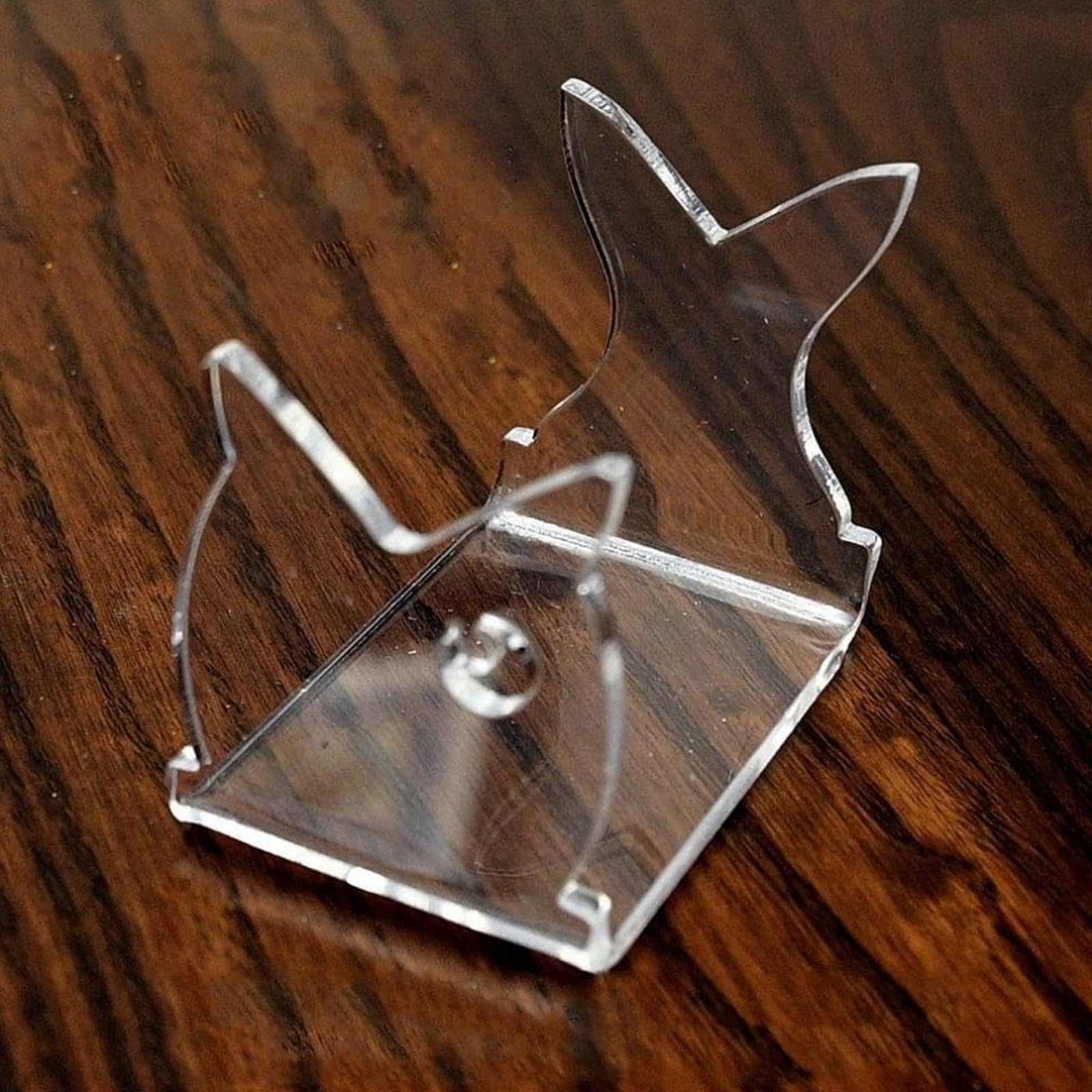 CATSELURRY ideal for fishing enthusiasts with durable display solution