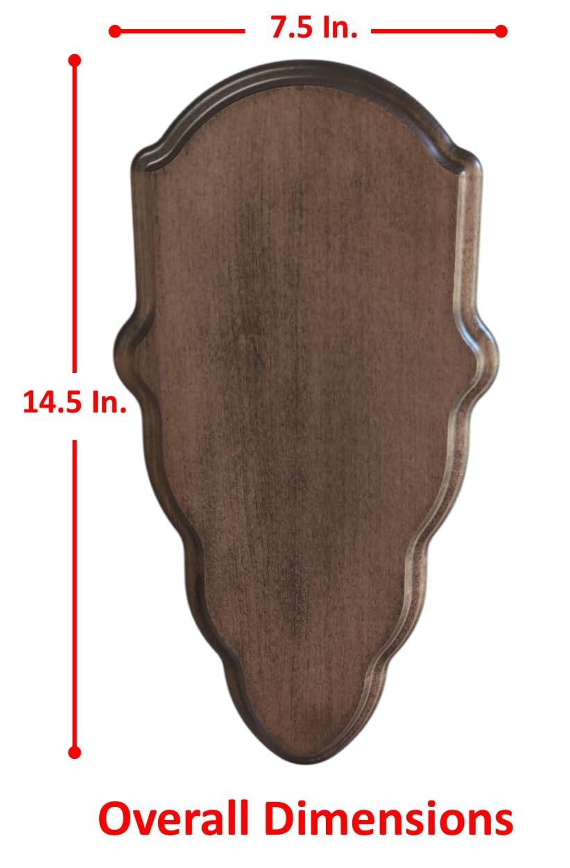 Cauff European-style skull mount enhances trophy presentation.