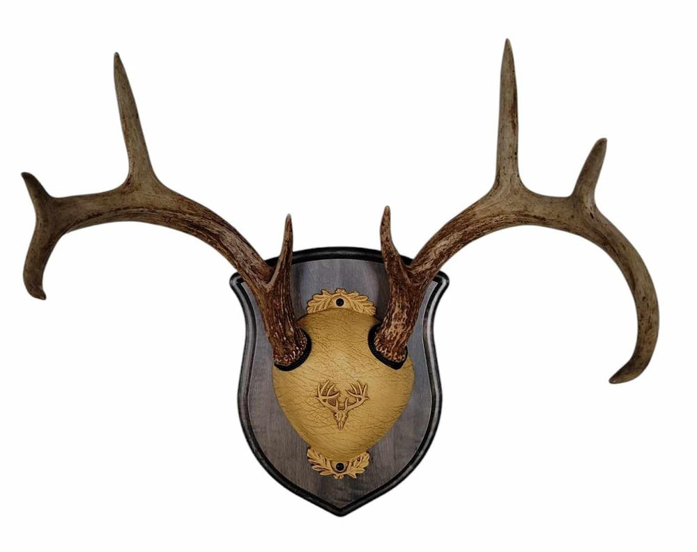 Cauff mounting hardware included keeps antlers securely attached to plaque