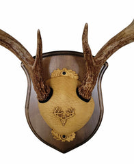 Cauff mounting hardware included for secure, easy wall installation