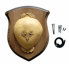 Cauff whitetail antler mounting kit with solid wood plaque enhances display