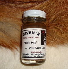 cavens yodel dog coyote gland lure scent ideal for post sets and dirt holes.