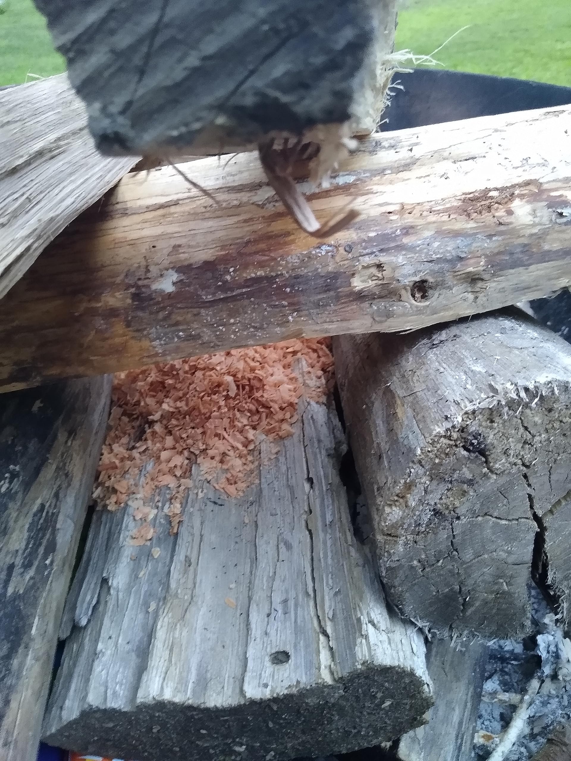 CC's Wood Shack Fire Starter handful on logs, quick ignition.