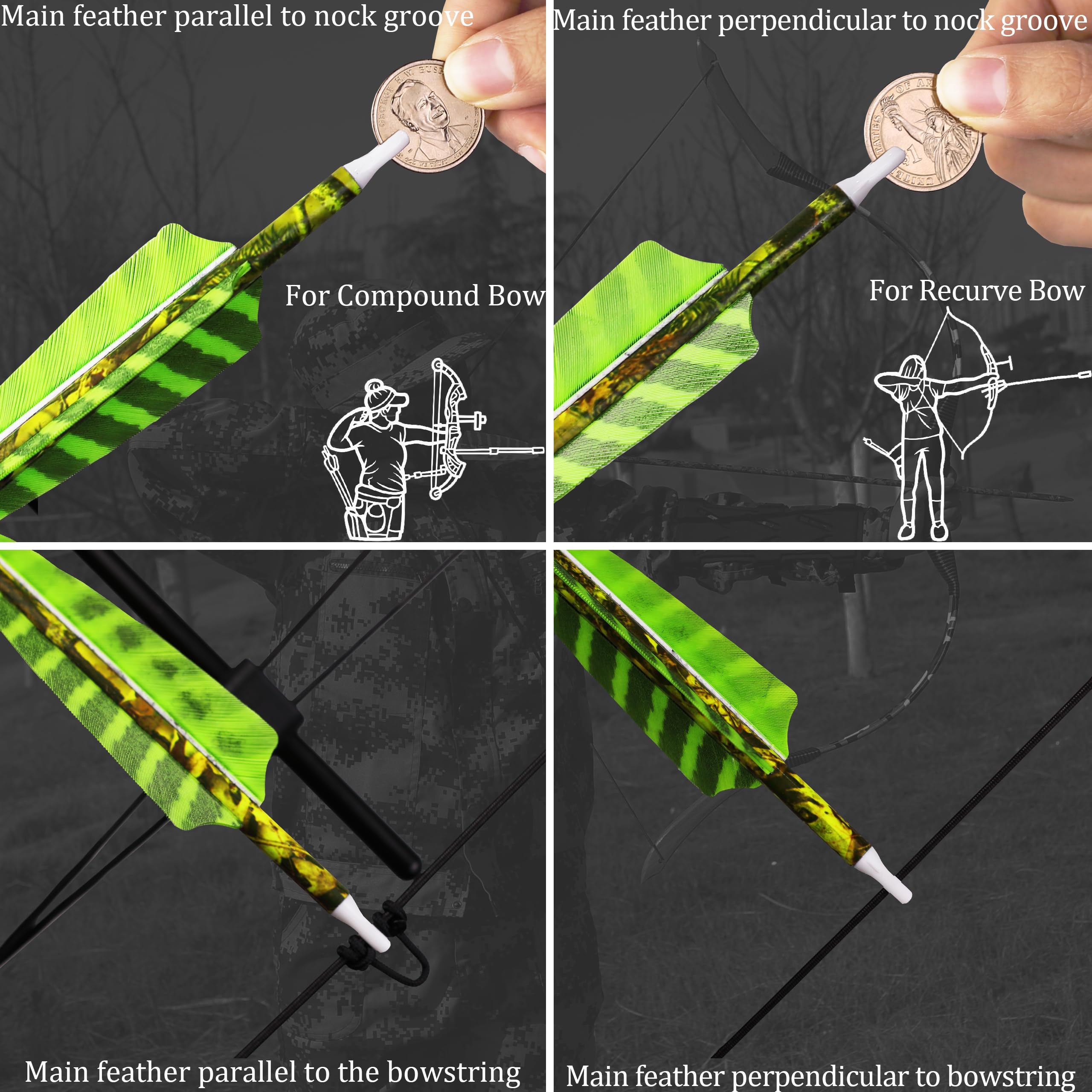 CENWTY 500 spine carbon arrow for predictable trajectories and precision.