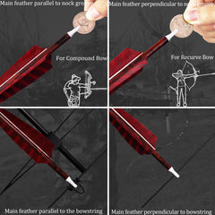 CENWTY removable 100 grain point for versatile practice and upgrades