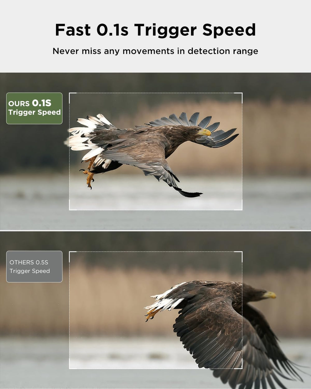 CEYOMUR WiFi app preview enables quick remote footage checks.