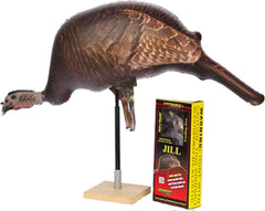 Cherokee Jill the Hen inflatable decoy in black provides lifelike field realism for feeding setups.