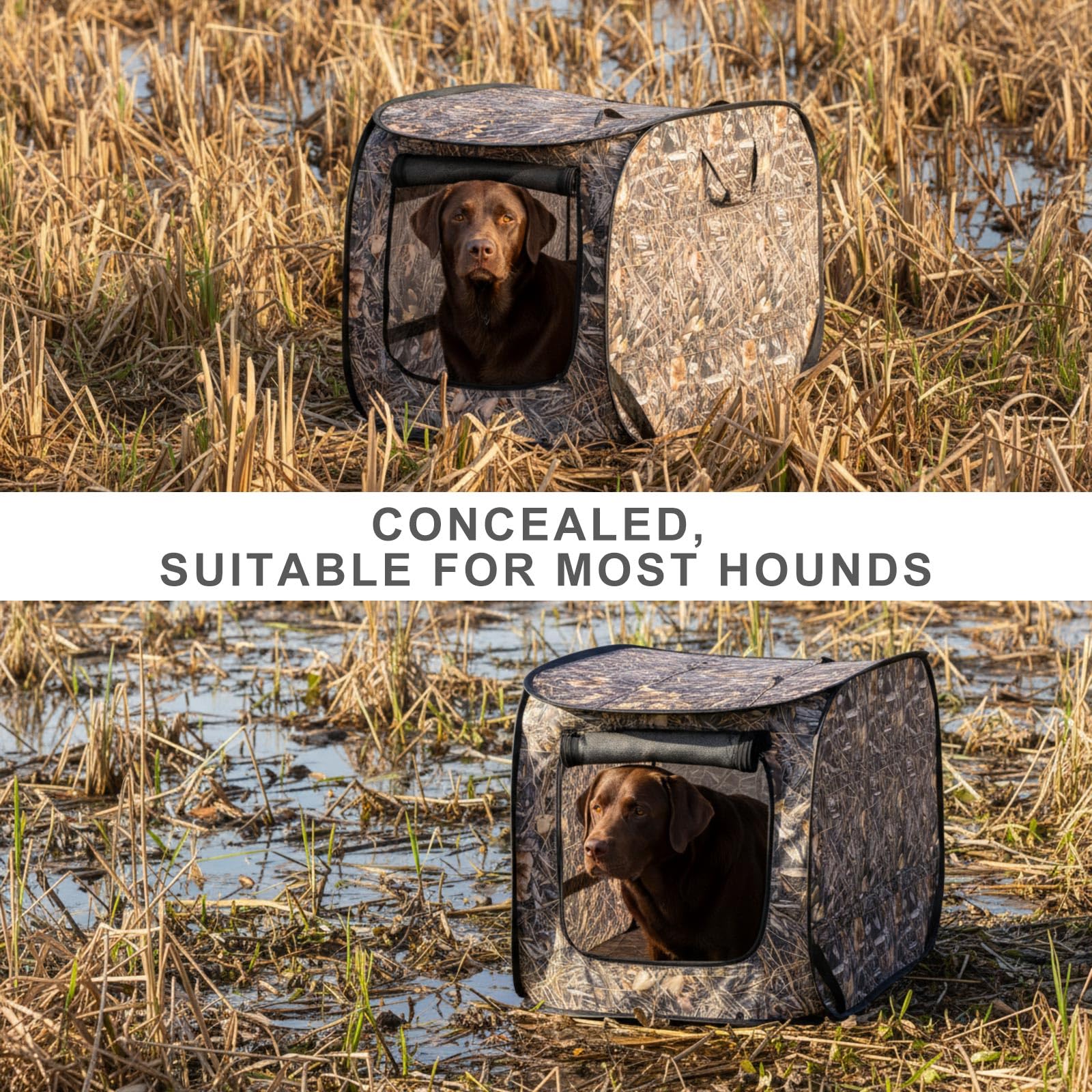 Chunm dog blind features quick pop-up setup for fast shelter.