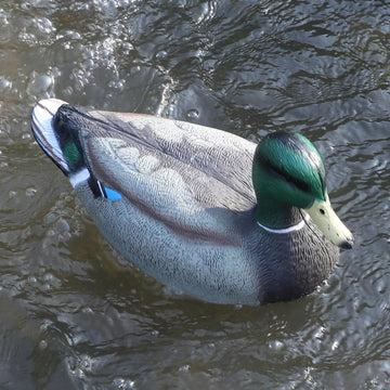 Cifavor duck decoy four-pack helps build realistic flock for decoy spreads.