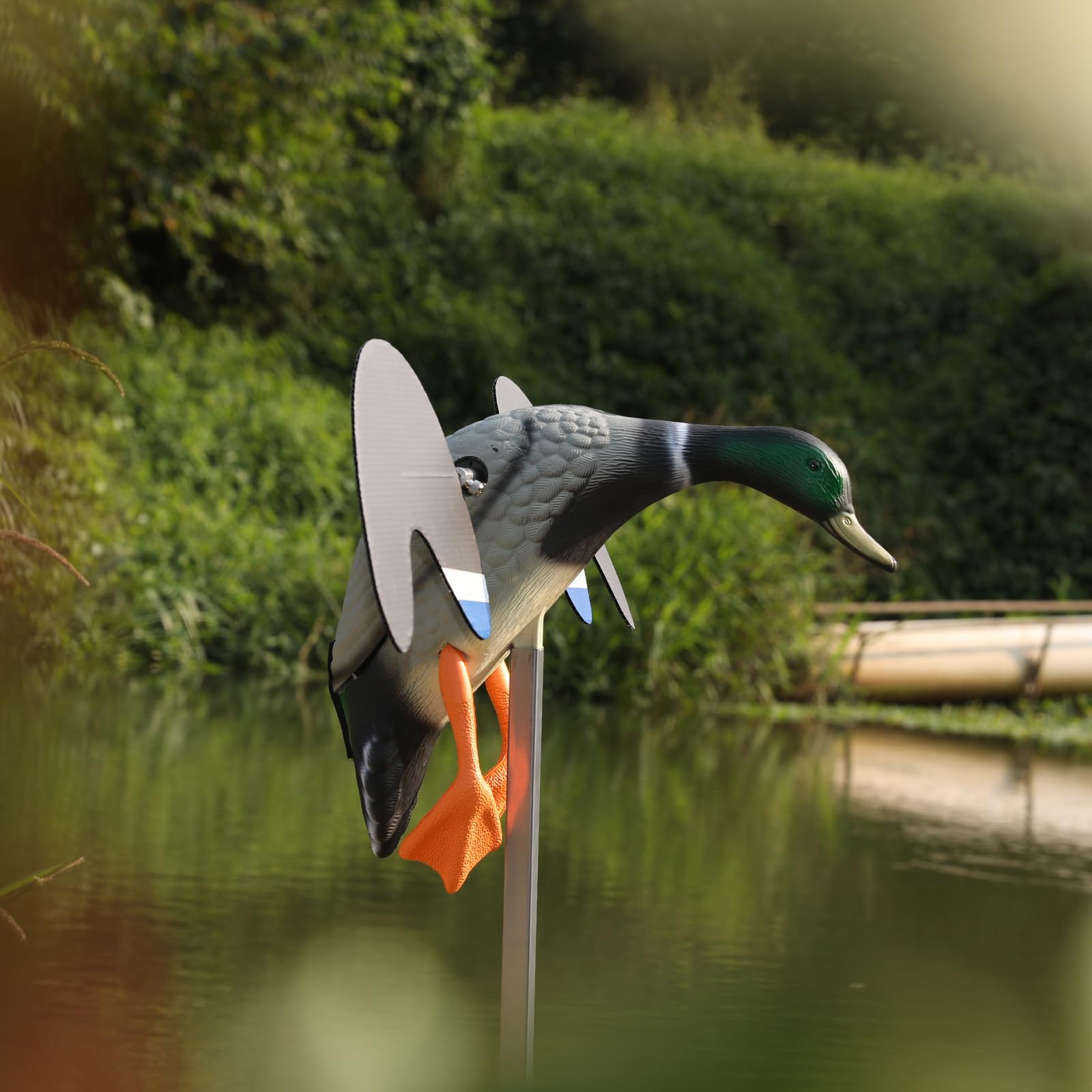 Cifavor Duck Decoys outer-end-removable-cleaning eases post-hunt maintenance.