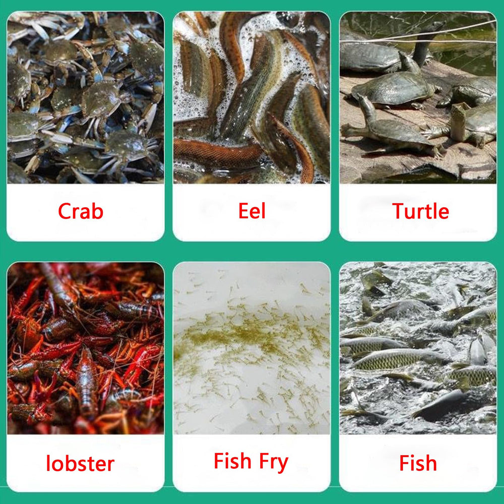 CINGHI LUSSO crayfish trap mesh enables reliable catch in controlled ponds