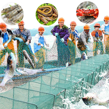 CINGHI LUSSO sturdy nylon netting detail for durability and wear resistance.