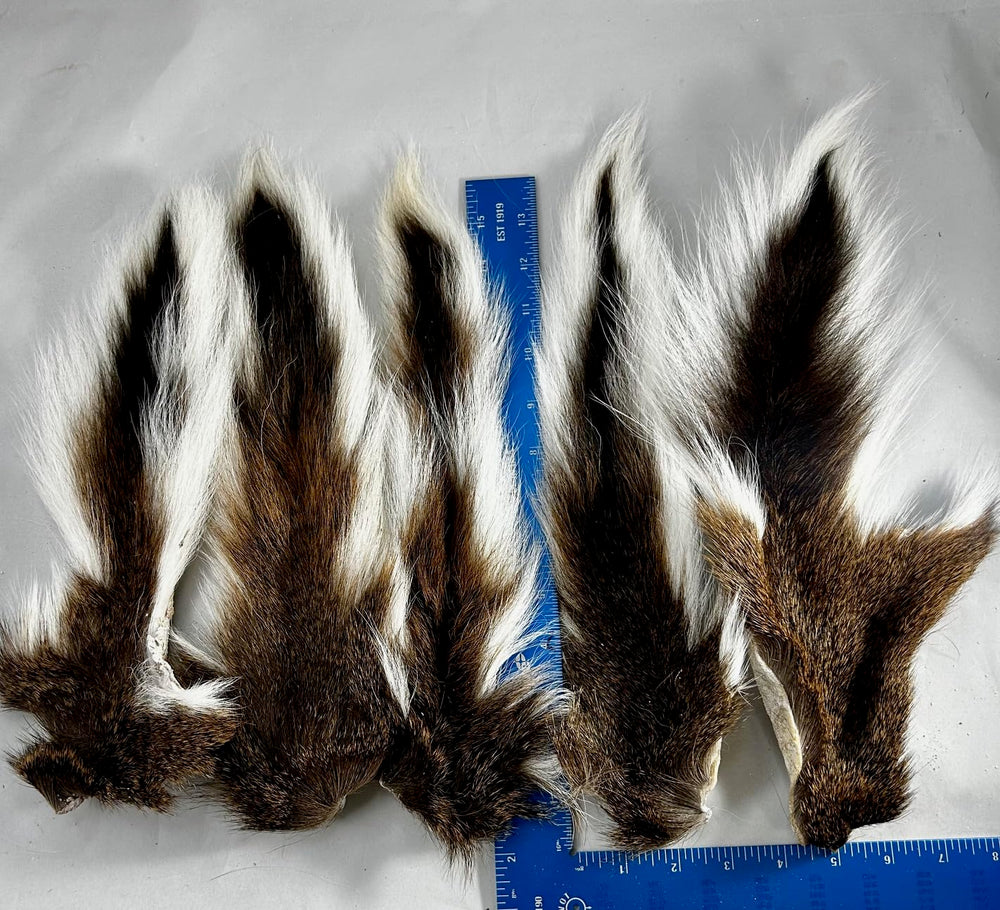 Circle B Tackle deer bucktail straight from the deer, ready for tying on lures.