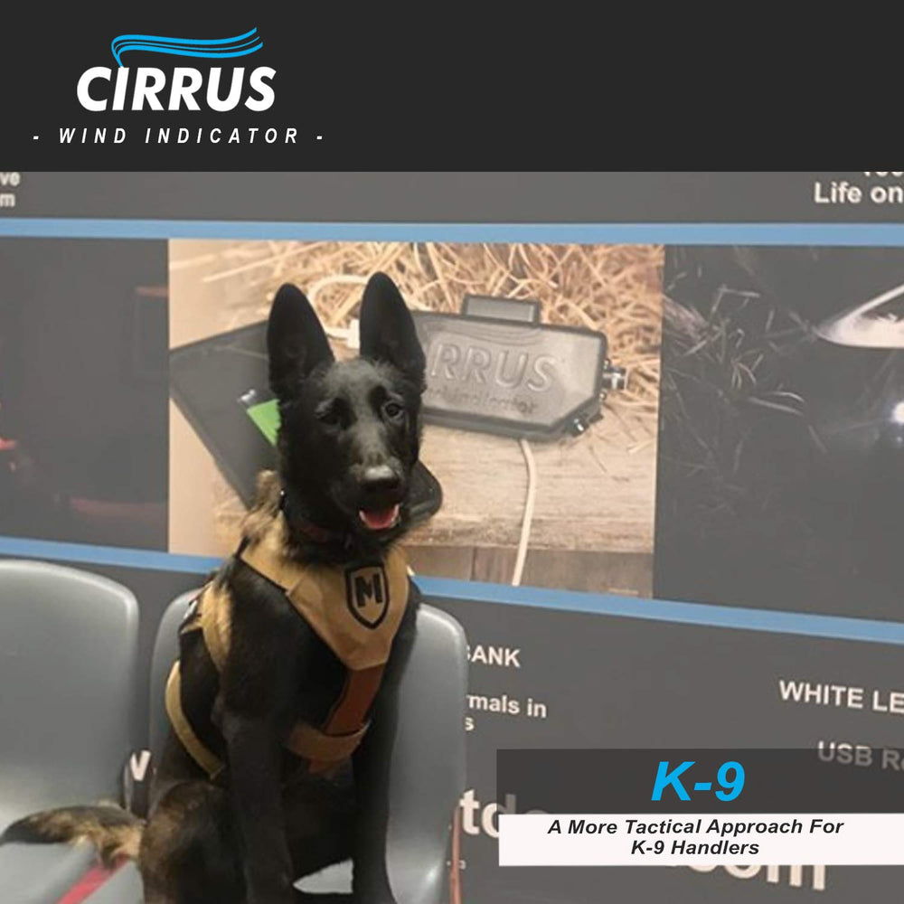 Cirrus wind indicator low-light training setup with LED illumination.