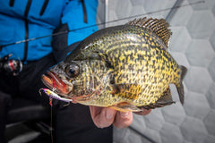 CLAM Tikka Mino vertical presentation lure supports accurate casts