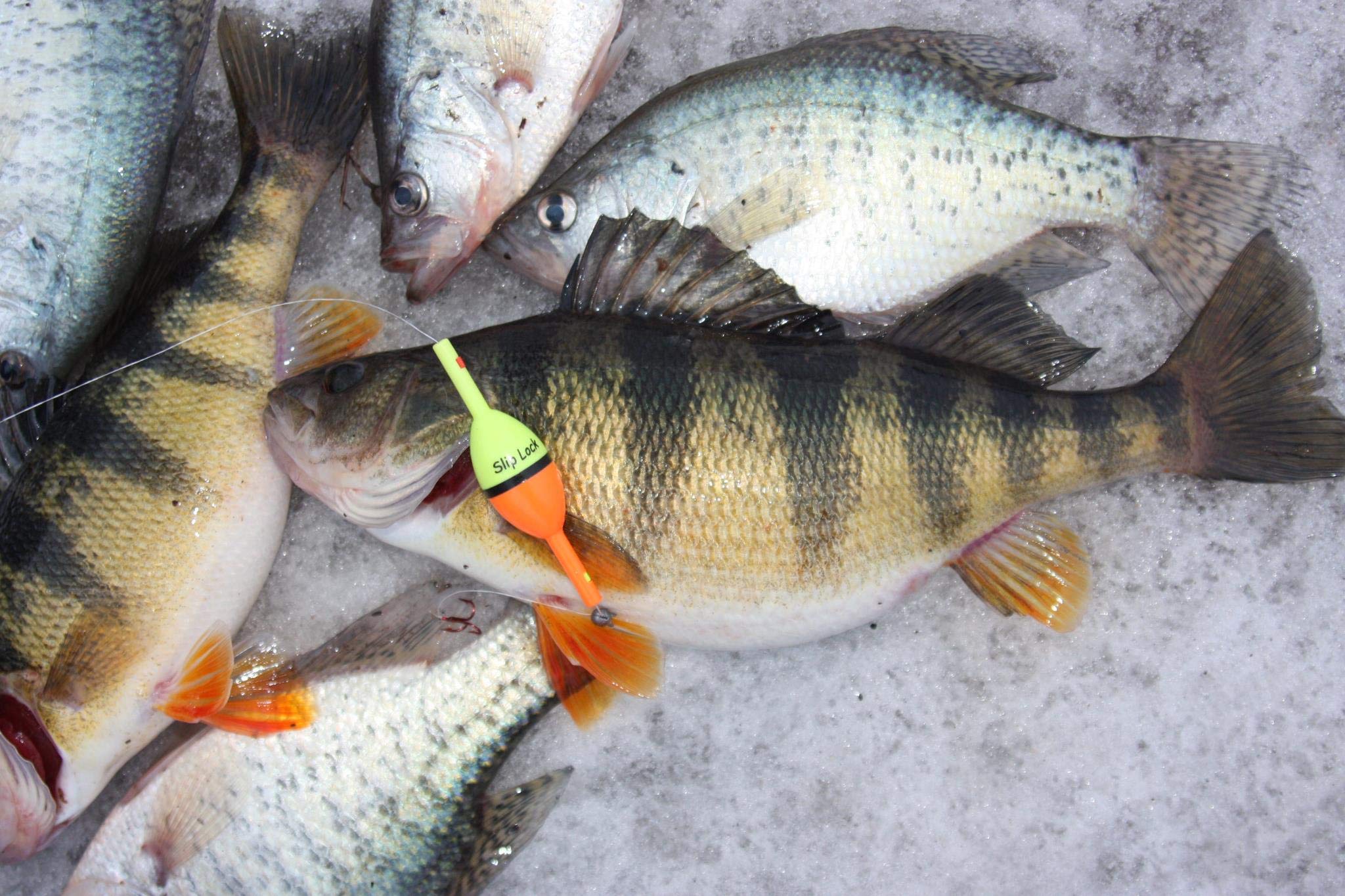 Clearly Outdoors bobber-stop adjustments enable rapid depth changes.