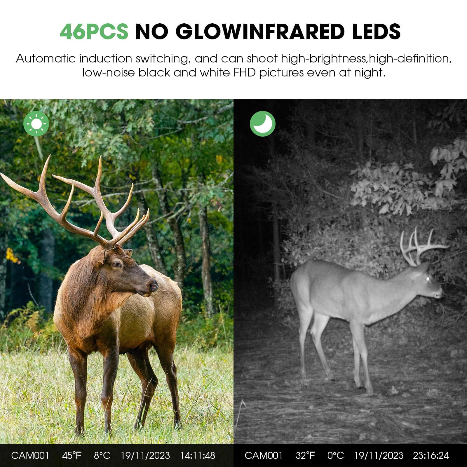 CLILN trail camera IP66 waterproof design withstands outdoor weather