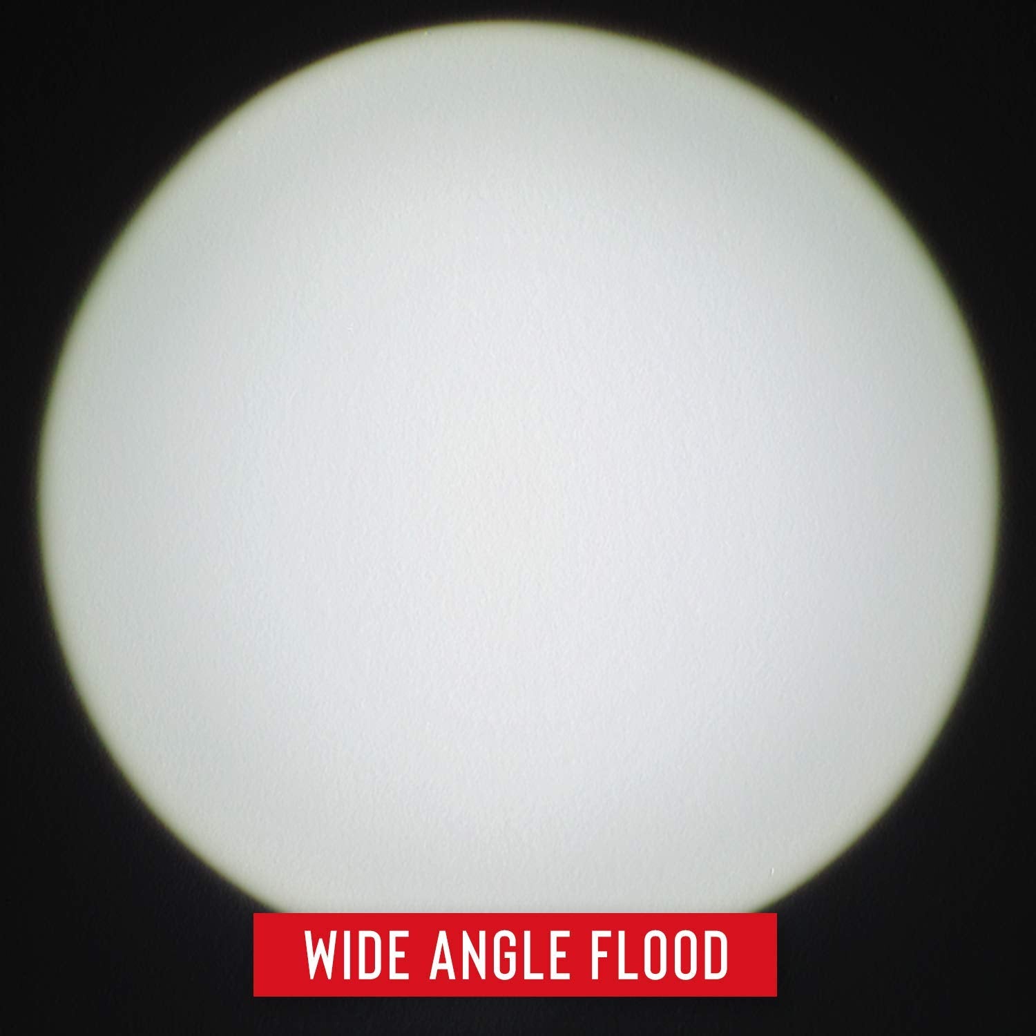 Coast FL19 dual-color white and red beam supports general use and night vision.