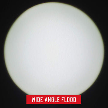 Coast FL19 white beam delivers broad coverage for general tasks.