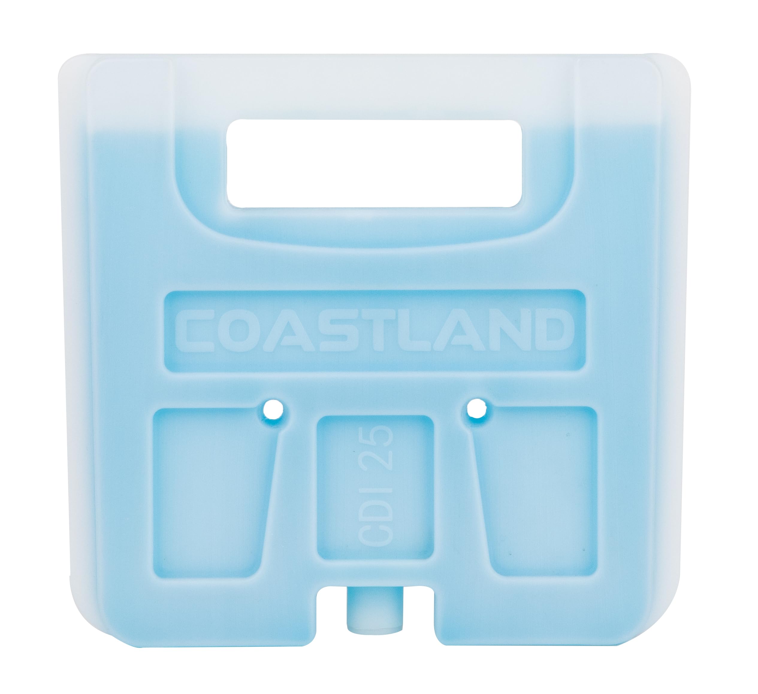 COASTLAND CD25 freezable divider inside Delta 25qt cooler keeps items organized.