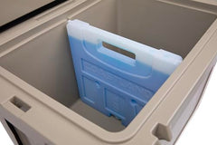 Coastland CD65 divider placed in freezer to act as a reusable ice pack