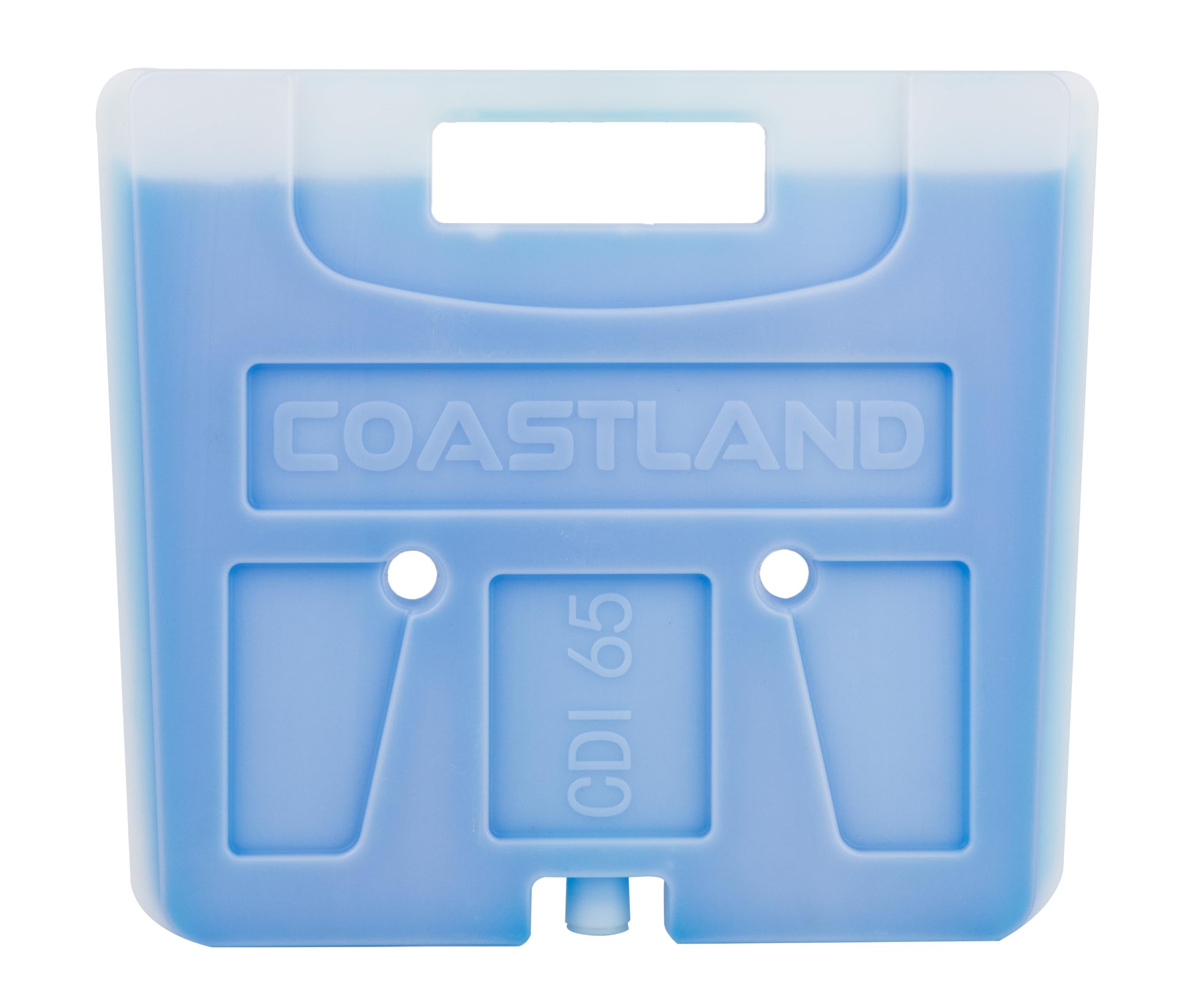 Coastland CD65 divider inside cooler for organized storage