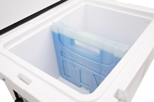 Delta Series 45 Qt cooler with divider showing tidy compartments.