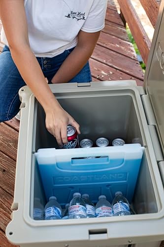 Coastland ice-pack divider provides cool, organized compartments.