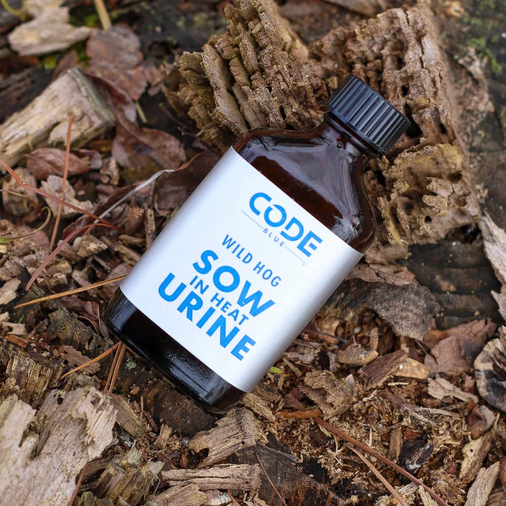 Closeup of Code Blue Sow in Heat Hog Urine amber bottle highlighting premium packaging.