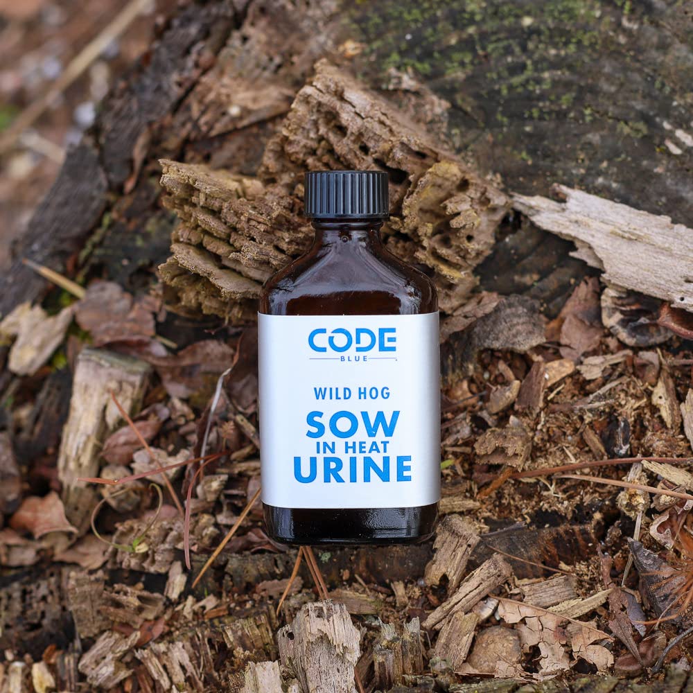 Outdoor hunting stand area with hog urine scent trail