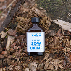 Outdoor hunting stand area with hog urine scent trail