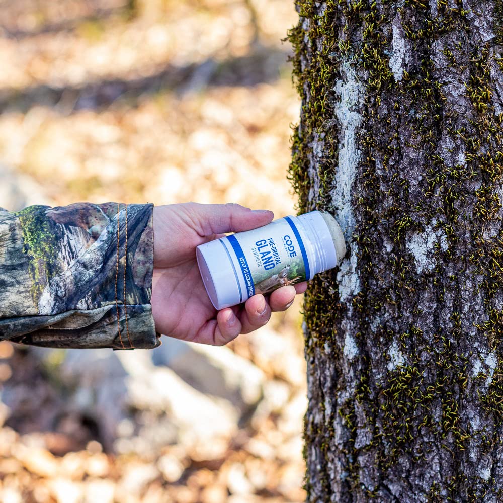 Code Blue pre-orbital gland scent for rub activity in season