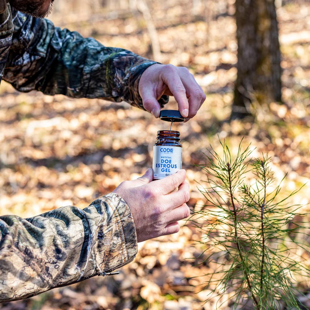Code Blue Whitetail Doe Estrous Gel applied on a branch for scent.