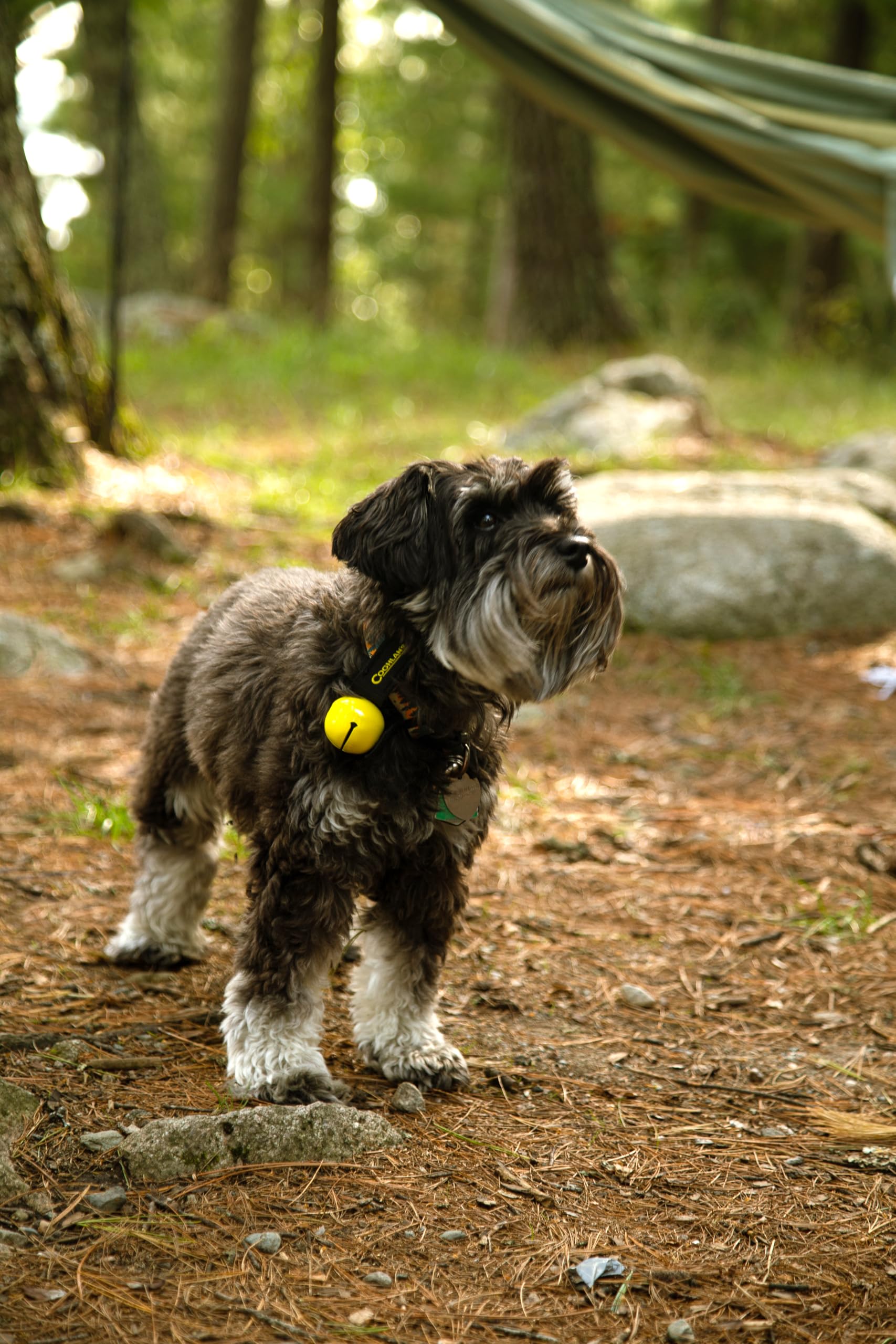 Coghlan's Bear Bell on hat keeps you audible to wildlife