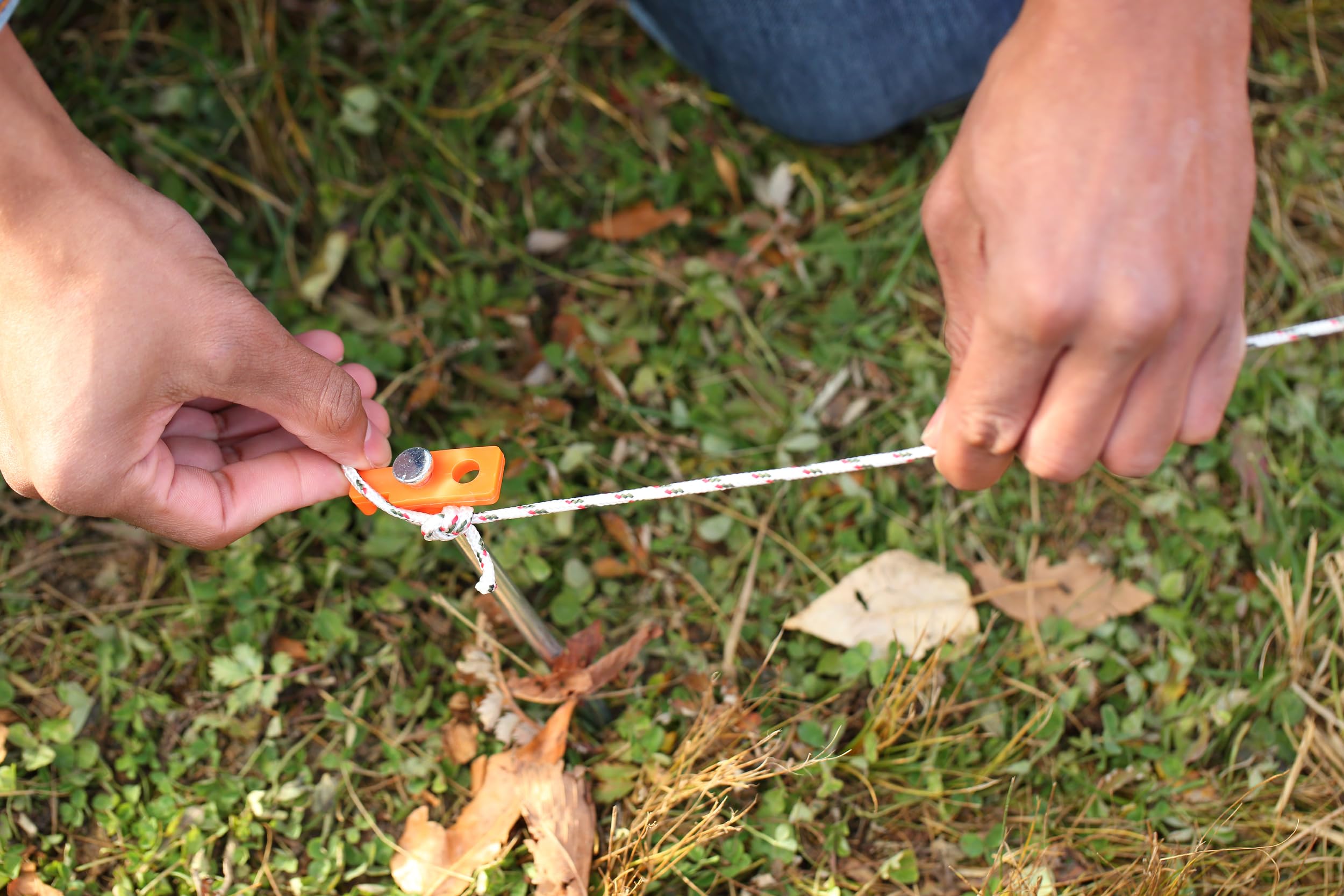 Coghlan's heavy-duty stakes securing gear at campsite.