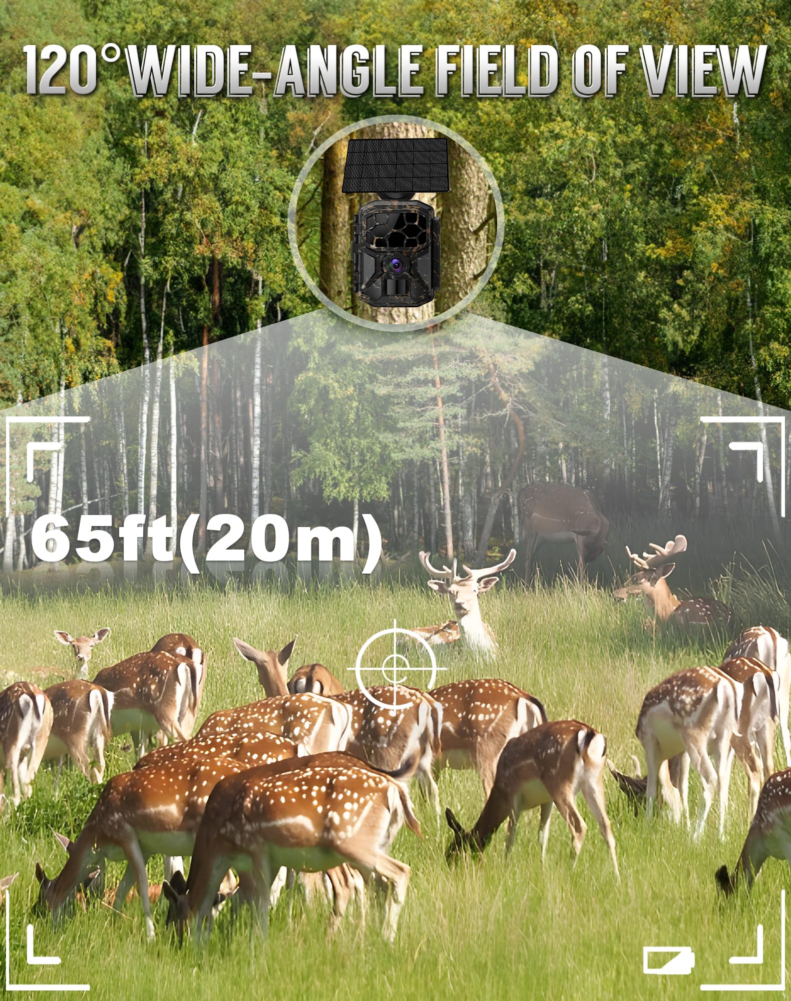 Cokque trail camera lifestyle wildlife monitoring in natural settings