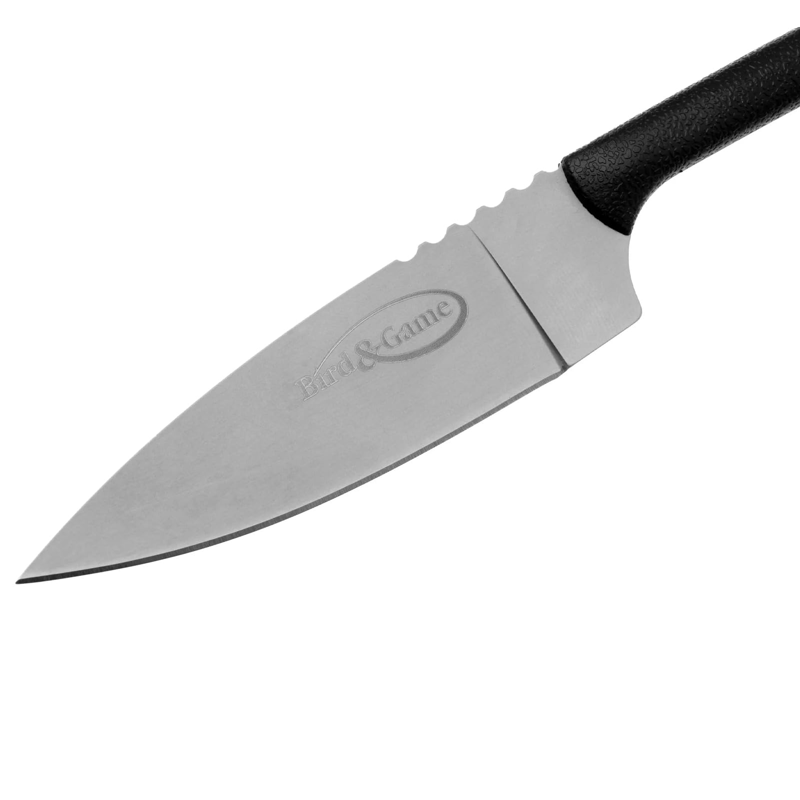 Japanese AUS8A stainless blade by Cold Steel