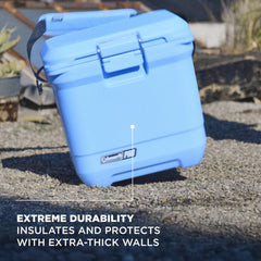 Coleman Pro 25qt cooler with lid open highlights 36-can capacity for gatherings.