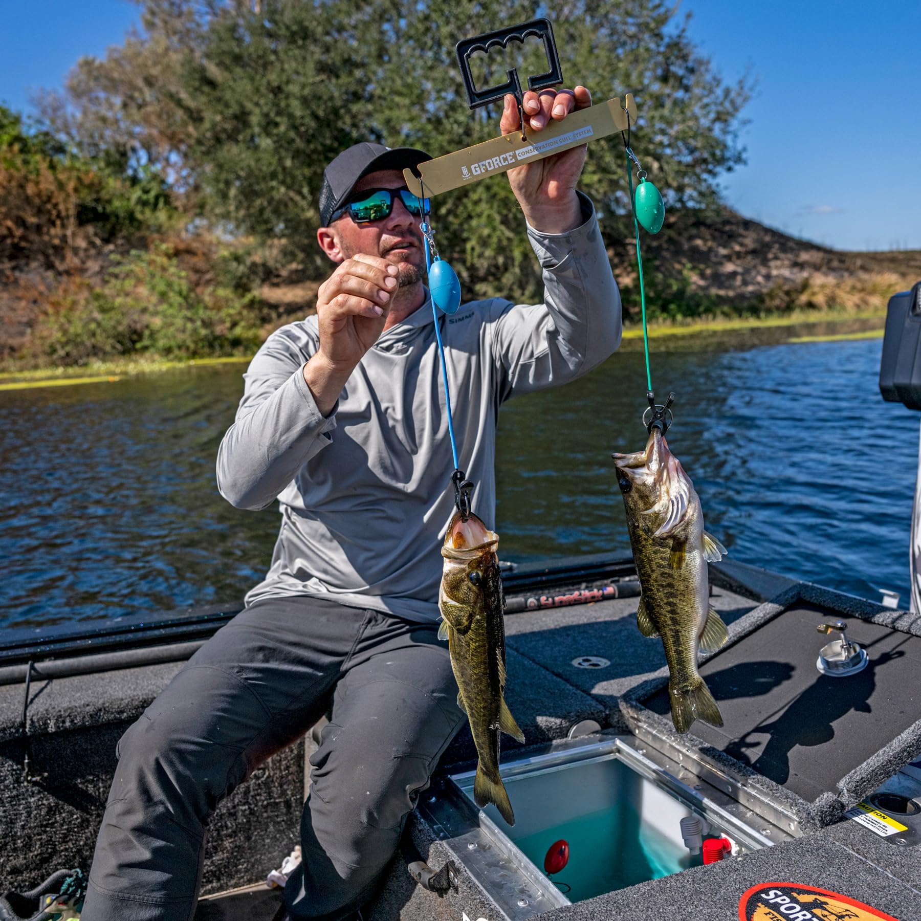 Color-coded clips for quick fish identification