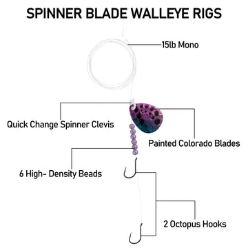 Colorado blade attached to a walleye rig