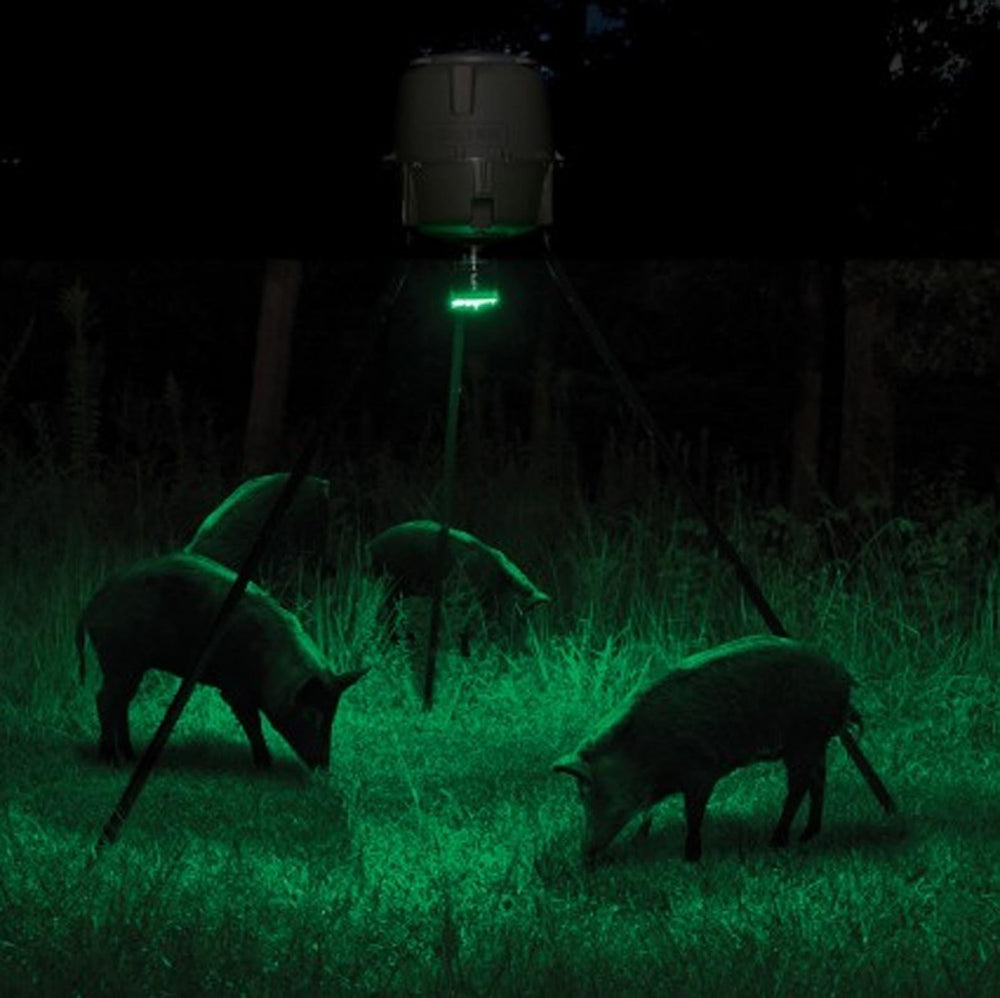Hog Light compatibility with competing-brand feeders
