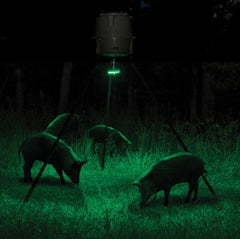 Hog Light compatibility with competing-brand feeders