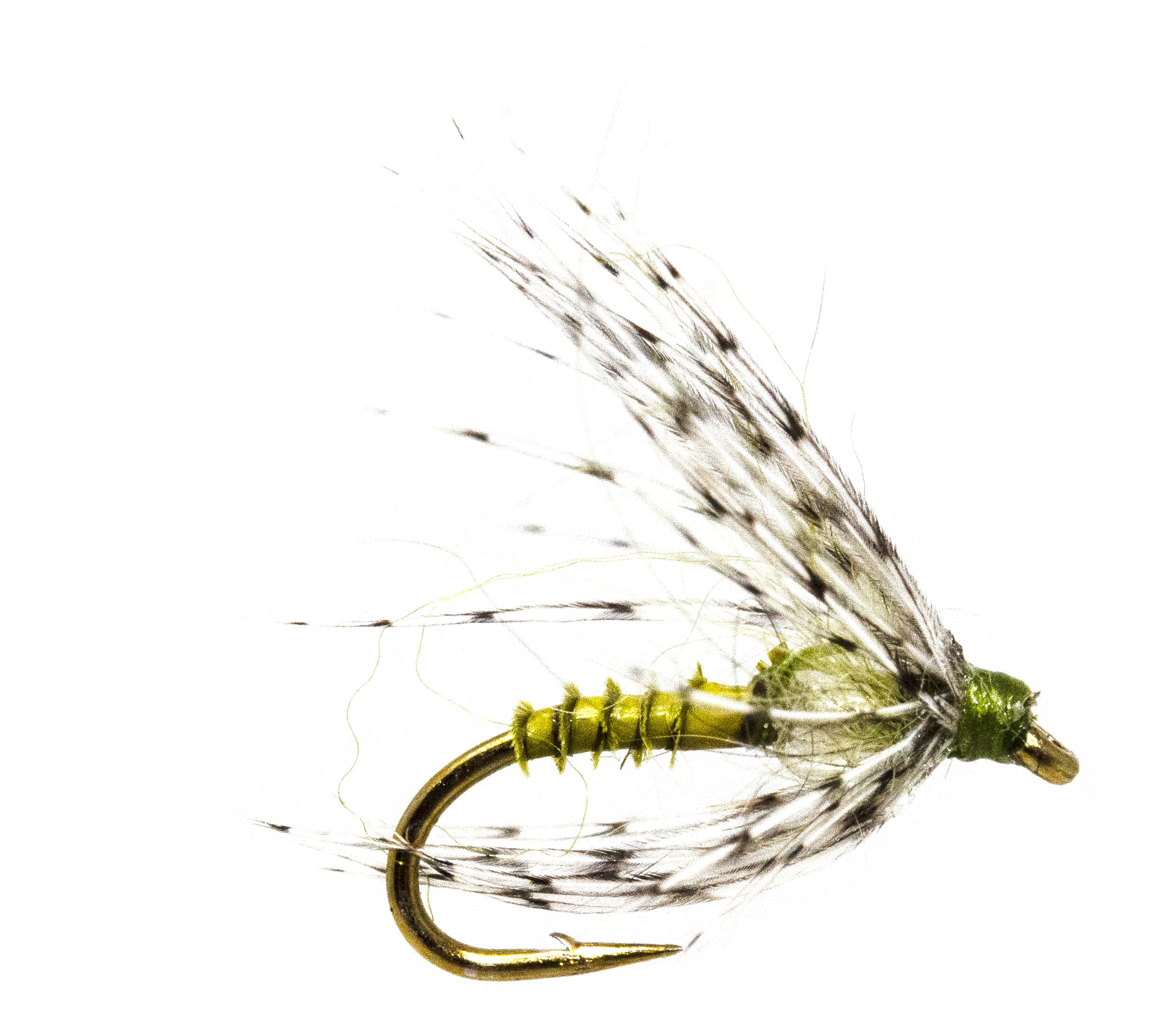 Complete trout, bass, and steelhead fly assortment