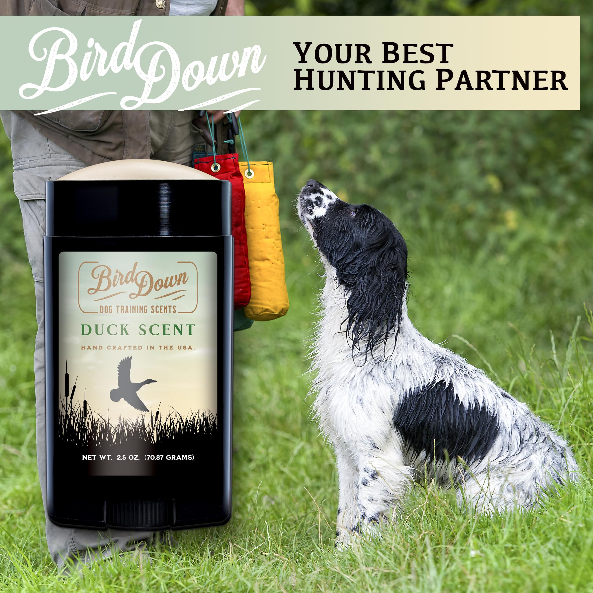 Conquest Scents bird hunting training use with retriever dogs