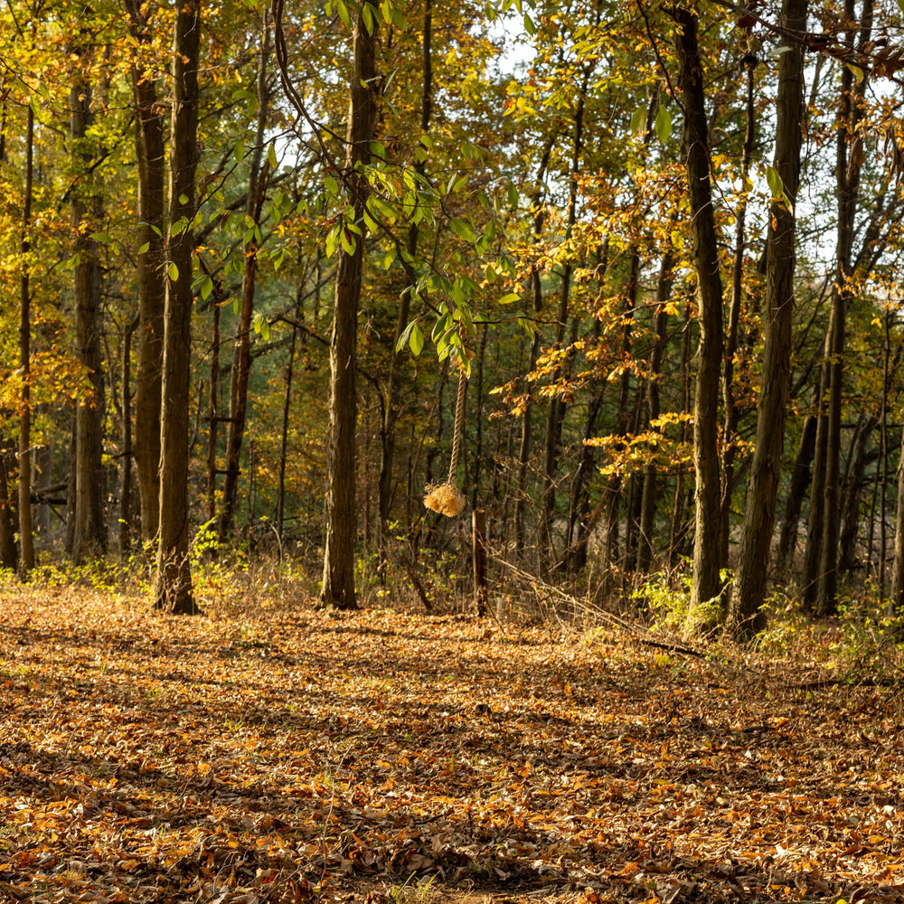 Conquest Scents EverCalm scent stick applied to rope for calmer deer visits.